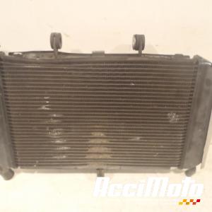 Radiateur de refroidissement YAMAHA FZ6 N