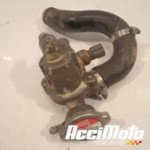 Boitier de calorstat HONDA DN-01