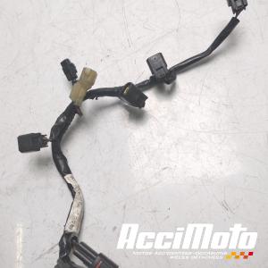 Faisceau de bobine YAMAHA R6 YZF600