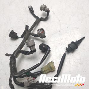 Faisceau de rampe d'injection YAMAHA R6 YZF600