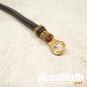 Cable de batterie négatif (-) YAMAHA FZ8 N