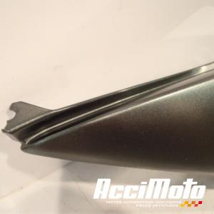 Coque arrière (gauche) KAWASAKI ER6 N