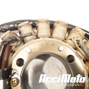 Stator d'alternateur SUZUKI MARAUDER VZ800