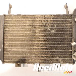 Radiateur de refroidissement SUZUKI TL1000 R