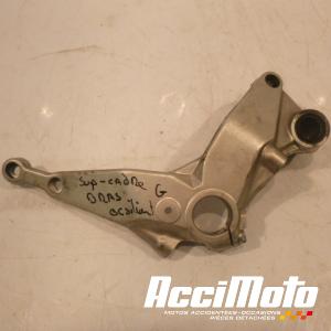 Support moteur DUCATI PANIGALE 899
