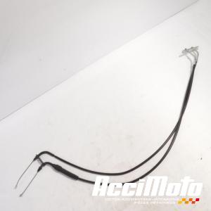 Cable d'accélérateur YAMAHA TMAX XP530