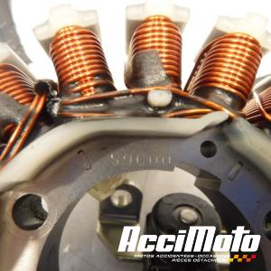 Stator d'alternateur YAMAHA TMAX XP530 DX