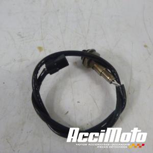 Sonde lambda YAMAHA XJ6N