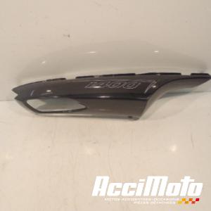 Coque arrière (droite) KAWASAKI ZZR 1400