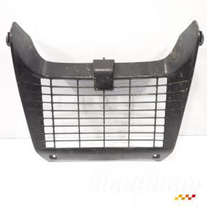 Grille de radiateur YAMAHA TDR 125