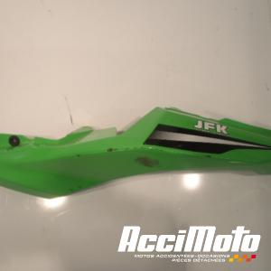 Coque arrière (gauche) KAWASAKI NINJA 300