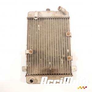 Radiateur de refroidissement SUZUKI BURGMAN AN400