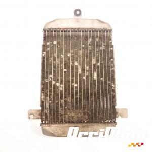 Radiateur de refroidissement SUZUKI BURGMAN AN400