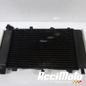 Radiateur de refroidissement YAMAHA FZ6 N