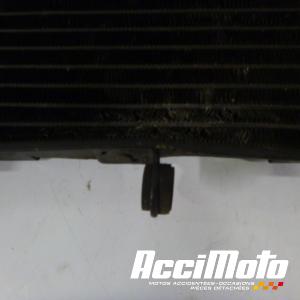 Radiateur de refroidissement YAMAHA FZ6 N