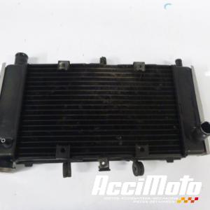 Radiateur de refroidissement YAMAHA FZ6 N