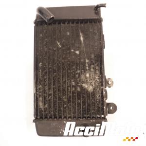 Radiateur de refroidissement HONDA TRANSALP XL650V