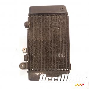 Radiateur de refroidissement HONDA TRANSALP XL650V