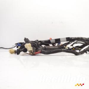Faisceau électrique (principal) YAMAHA R6 YZF600