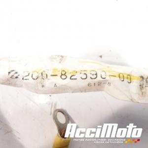 Faisceau électrique (principal) YAMAHA R6 YZF600