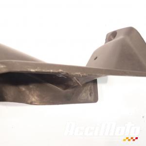 Intérieur de tête de fourche (droit) HONDA CBR600F