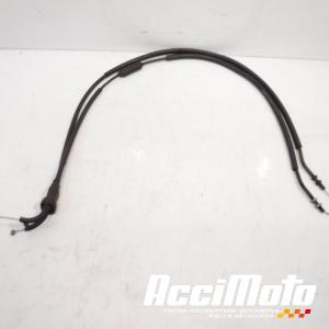 Cable d'accélérateur TRIUMPH TIGER 1050