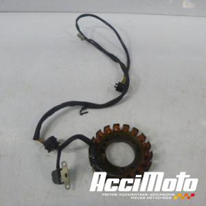 Stator d'alternateur SUZUKI SAVAGE LS650