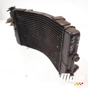 Radiateur de refroidissement YAMAHA GTS 1000