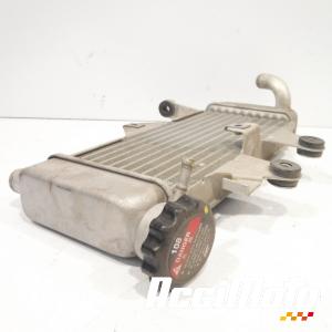 Radiateur de refroidissement HONDA VARADERO XL125V