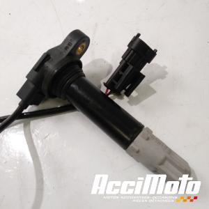 Bobine crayon DUCATI HYPERMOTARD 821