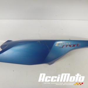 Coque arrière (gauche) BMW C600 SPORT