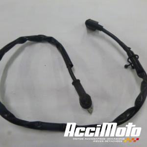 Cable de batterie négatif (-) YAMAHA FZ6 N