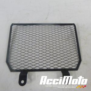 Grille de radiateur YAMAHA R1 YZF1000