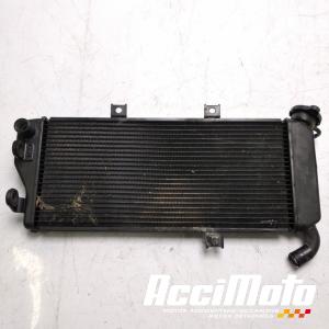 Radiateur de refroidissement KAWASAKI ER6 N