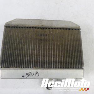 Radiateur de refroidissement SUZUKI BURGMAN AN400