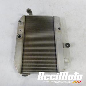 Radiateur de refroidissement SUZUKI BURGMAN AN400