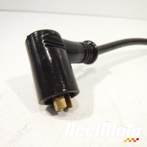 Cable de bougie DUCATI MONSTER 696