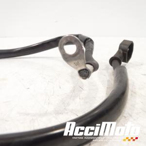 Cable de démarreur YAMAHA FZ8 N