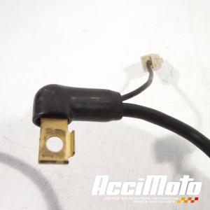 Cable de batterie négatif (-) YAMAHA FAZER FZS1000