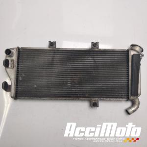 Water-cooling radiator KAWASAKI ER6 N