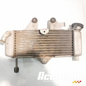 Radiateur de refroidissement HONDA VARADERO XL125V