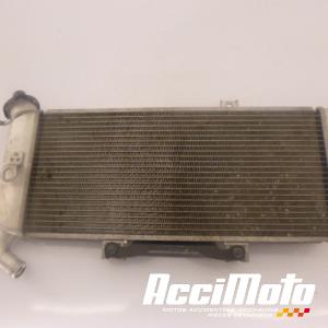 Water-cooling radiator KAWASAKI ER6 N