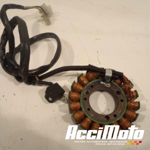 Stator d'alternateur YAMAHA FAZER FZS600