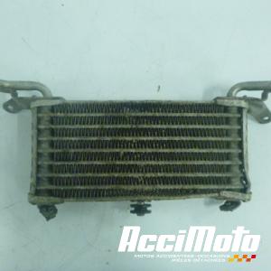 Radiateur d'huile BMW S1000 R