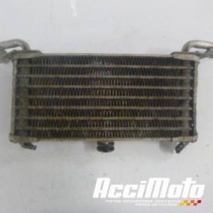 Radiateur d'huile BMW S1000 R