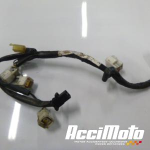 Faisceau moteur HONDA CBR929