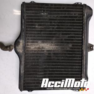 Radiateur de refroidissement YAMAHA VMAX VMX12