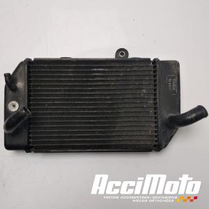 Radiateur de refroidissement HONDA TRANSALP XL700V