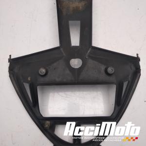 Cache radiateur APRILIA FUTURA RST1000