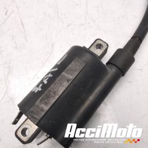 Bobine d'allumage cylindre avant APRILIA FALCO SL1000